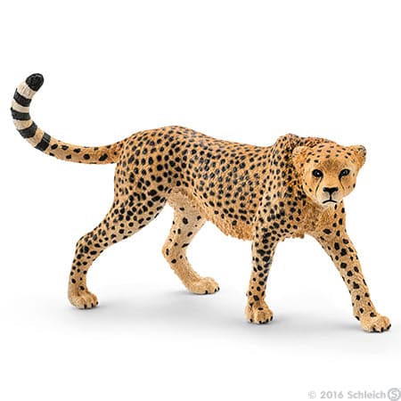 Schleich-Cheetah, Female-14746-Barcode 2-Legacy Toys