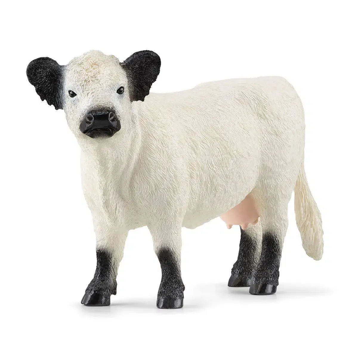 Schleich-Galloway Cattle-13960-Legacy Toys