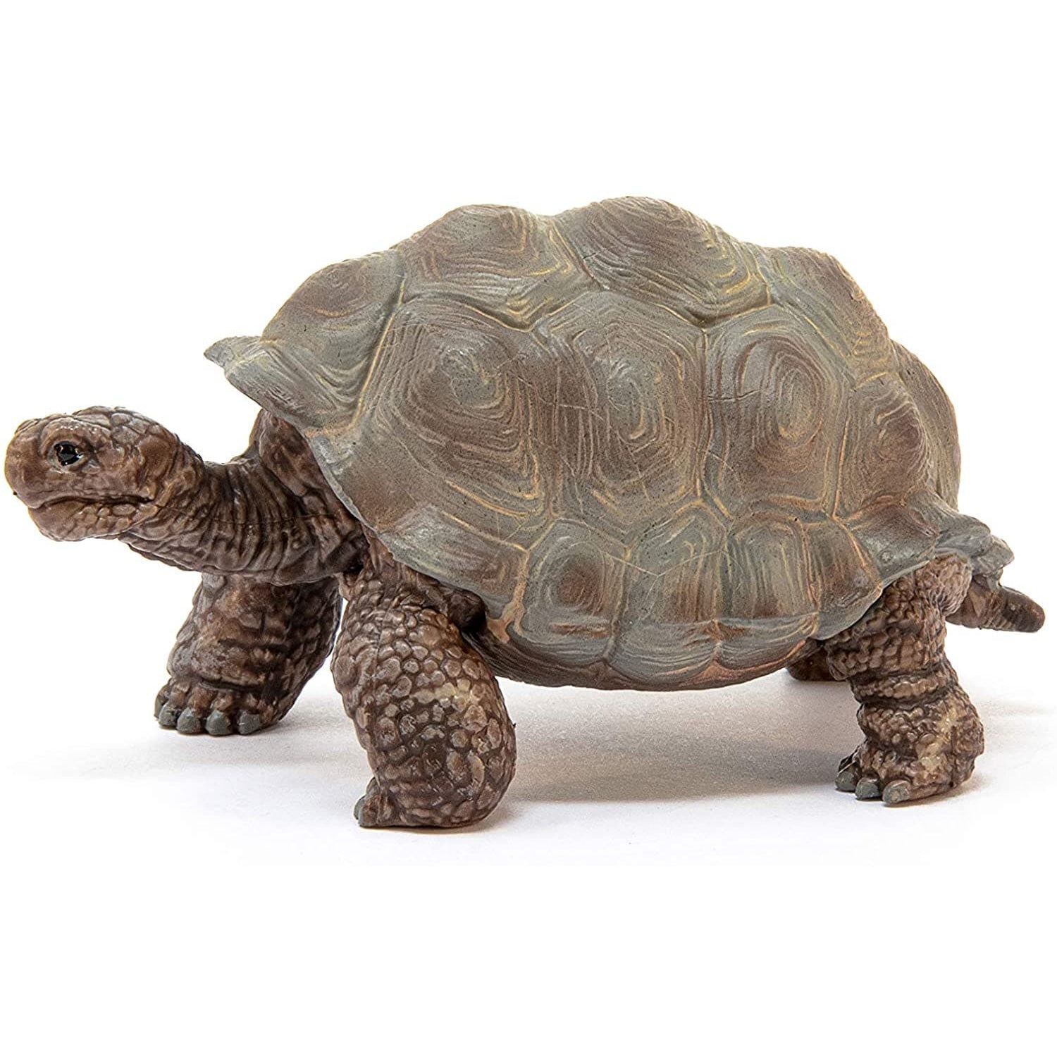 Schleich-Giant Tortoise-14824-Legacy Toys