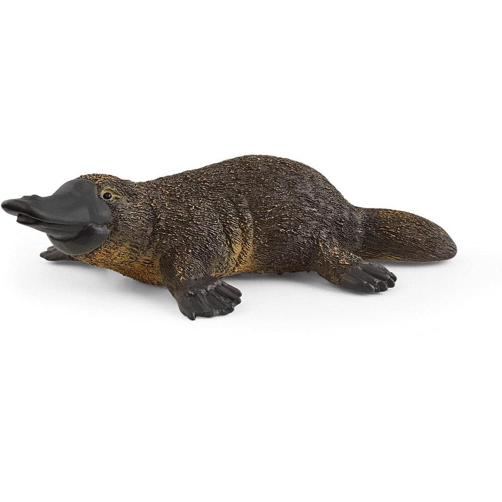 Schleich-Platypus-14840-Legacy Toys