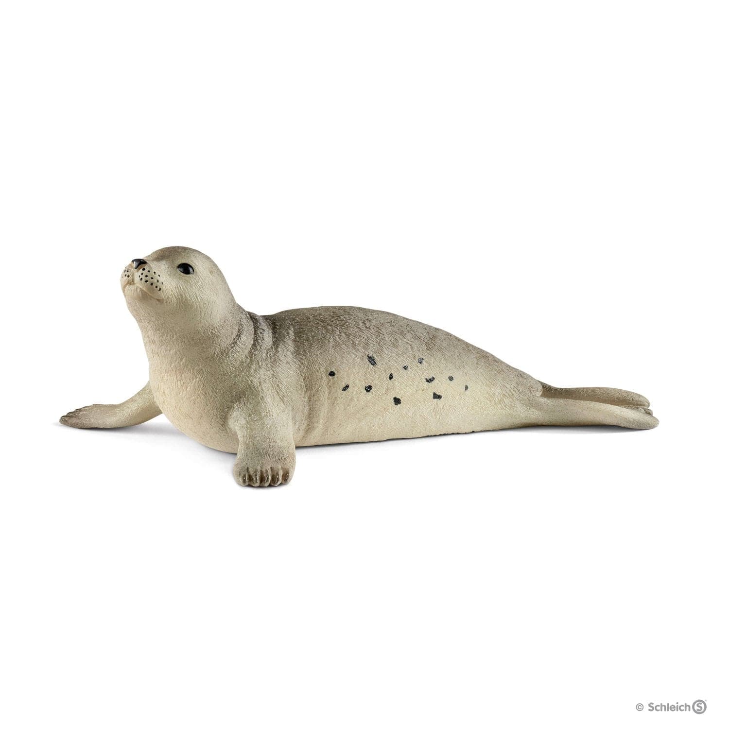 Schleich-Seal-14801-Legacy Toys