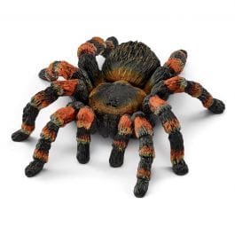 Schleich-Tarantula-14829-Legacy Toys