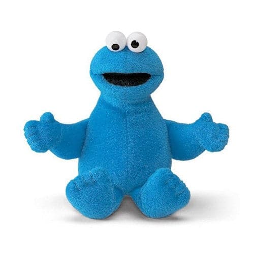 Spin Master-Cookie Monster Beanbag-6047478-Legacy Toys