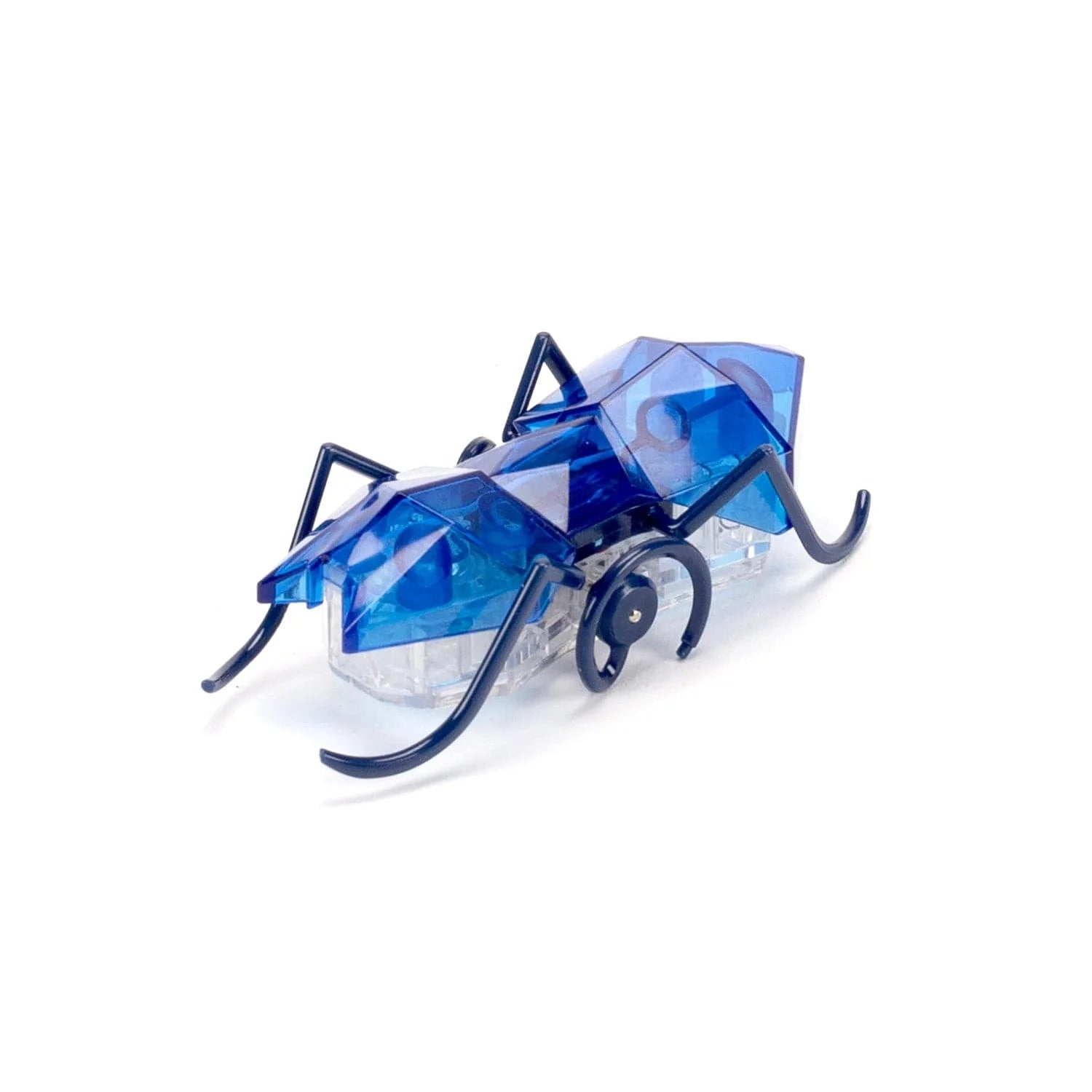 Spin Master-Hexbug Micro Ant - Blue-20146163-Legacy Toys