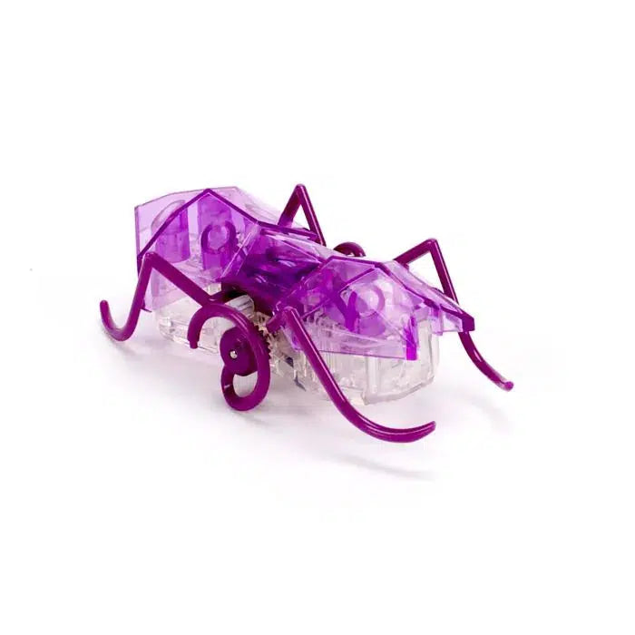 Spin Master-Hexbug Micro Ant - Purple-20146166-Legacy Toys