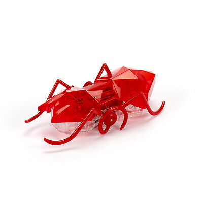 Spin Master-Hexbug Micro Ant - Red-20145159-Legacy Toys