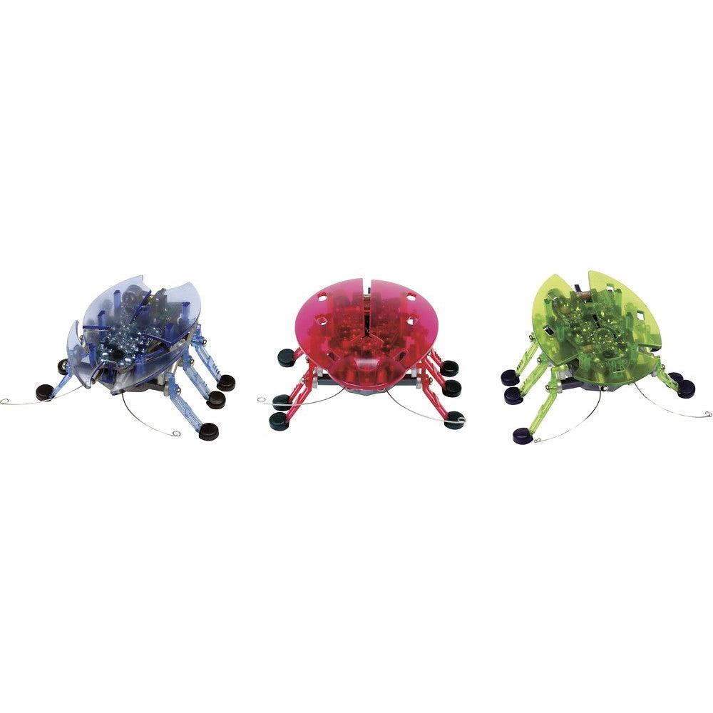 Spin Master-Hexbug Scarab Beetle -477-4289-Beetle-Legacy Toys