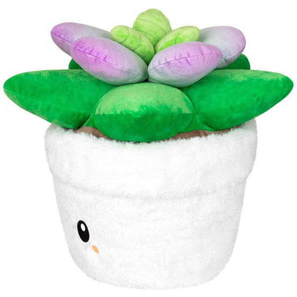 Squishable-Squishables - 15" Succulent-116380-Legacy Toys