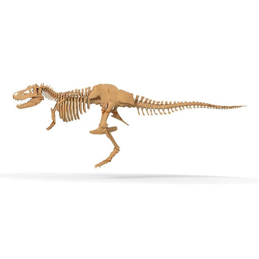 Thames & Kosmos-Giant Dinosaur Skeleton Kit-632120-Legacy Toys