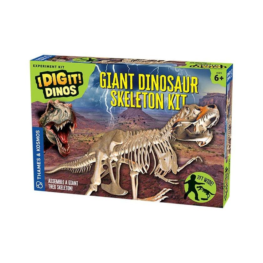 Thames & Kosmos-Giant Dinosaur Skeleton Kit-632120-Legacy Toys