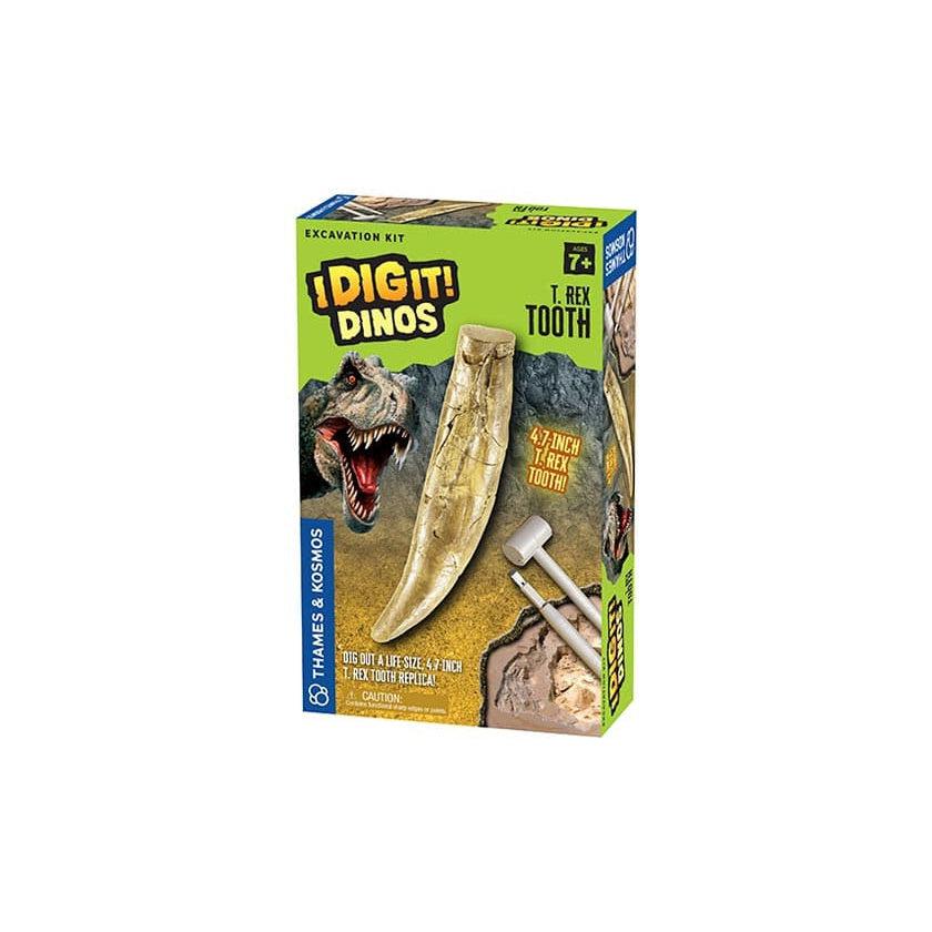 Thames & Kosmos-I Dig It! Dinos - T. Rex Tooth Excavation Kit-630492-Legacy Toys