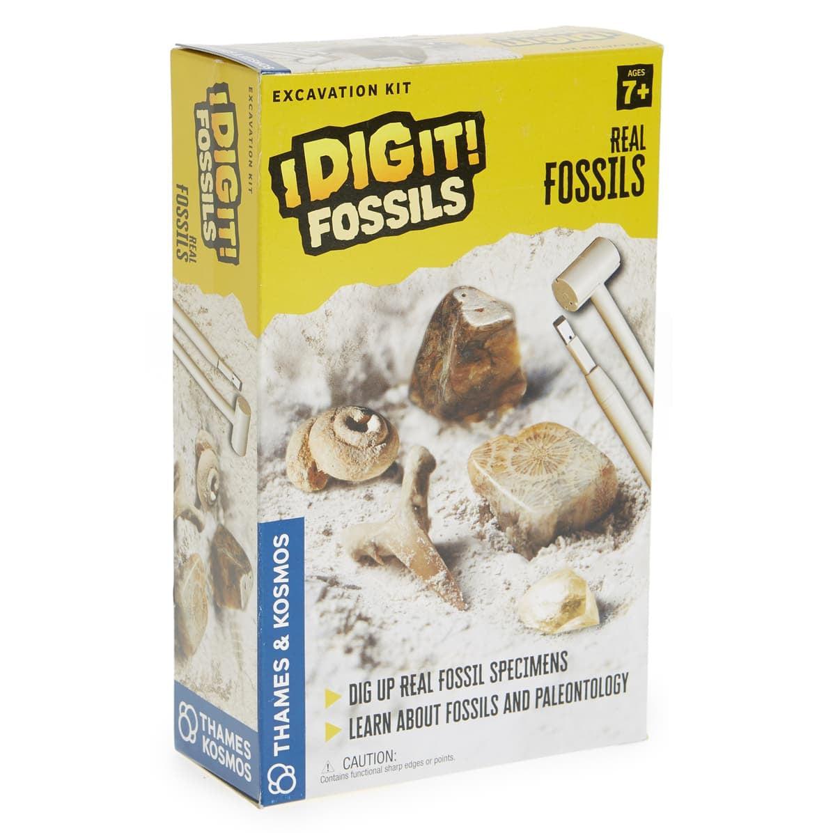 Thames & Kosmos-I Dig It! Fossils - Real Fossils Excavation Kit-630461-Legacy Toys