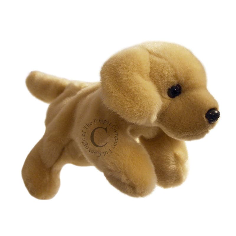 The Puppet Company-Full Bodied Puppet - Labrador - Yellow-PC001808-Legacy Toys