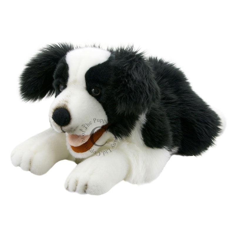 The Puppet Company-Full Bodied Puppet - Playful Puppy Border Collie-PC003007-Legacy Toys