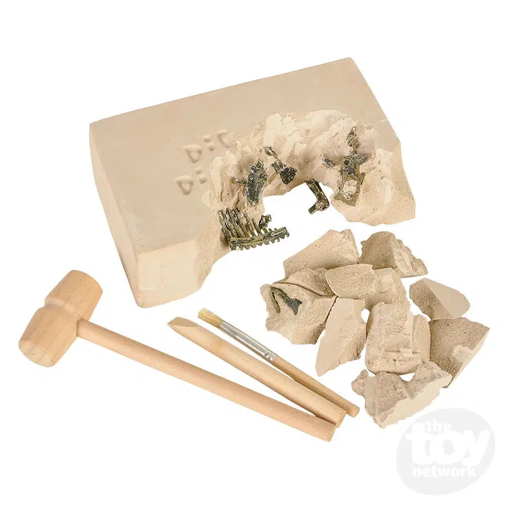 The Toy Network-Dinosaur Deluxe Fossil Excavation Kit-AM-EXDFO-Legacy Toys