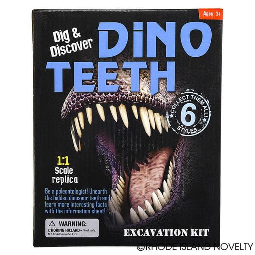 The Toy Network-Dinosaur Teeth Excavation Kit-AM-EXDTE-Legacy Toys