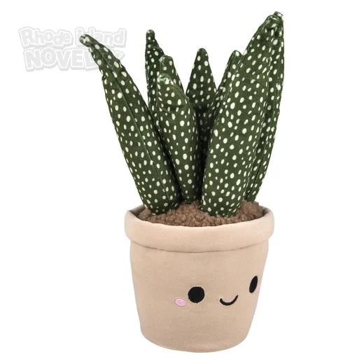 succulents network Succulent Plush Assorted Styles