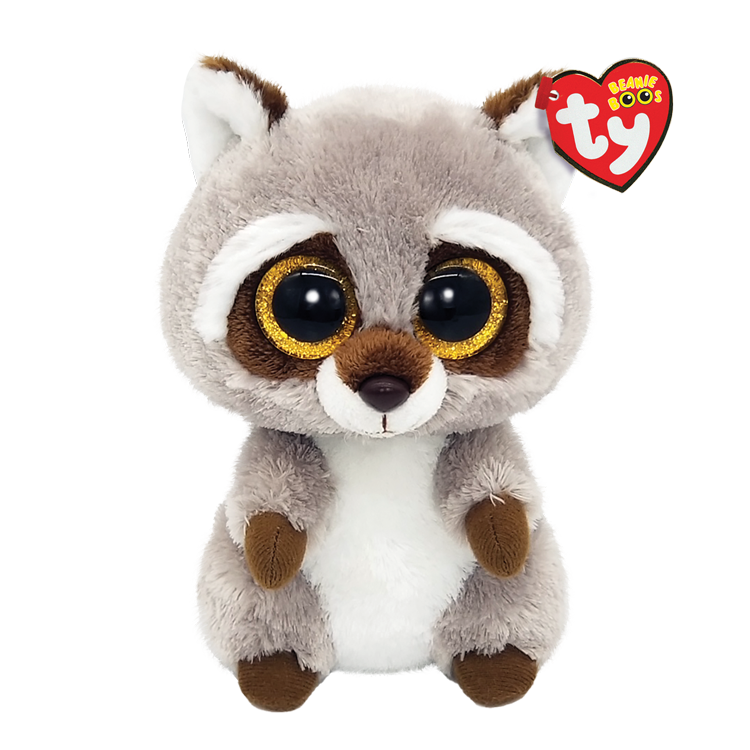 TY-Beanie Boo's - Oakie the Raccoon-36375-6
