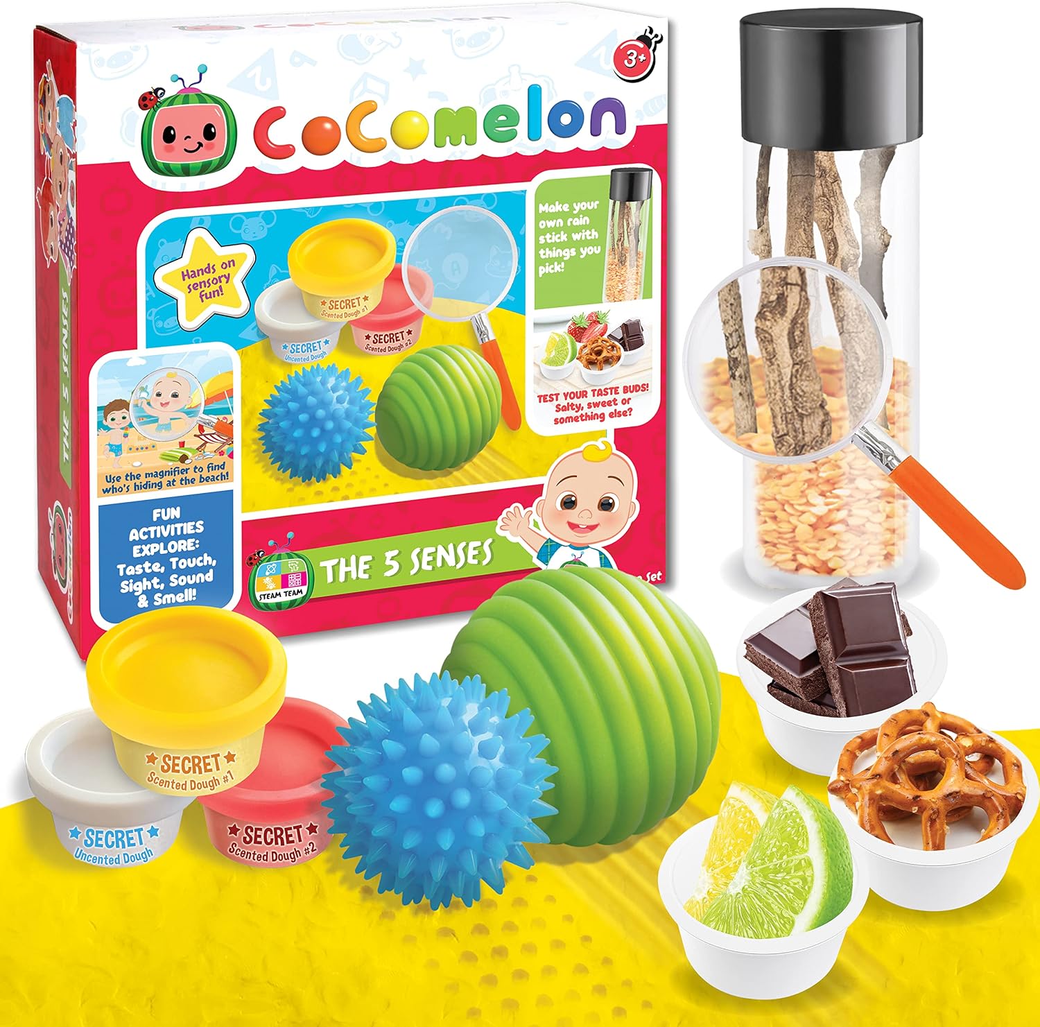 Cocomelon The Five Senses