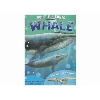 Usborne Books-Build the Bones Whale-670852-Legacy Toys