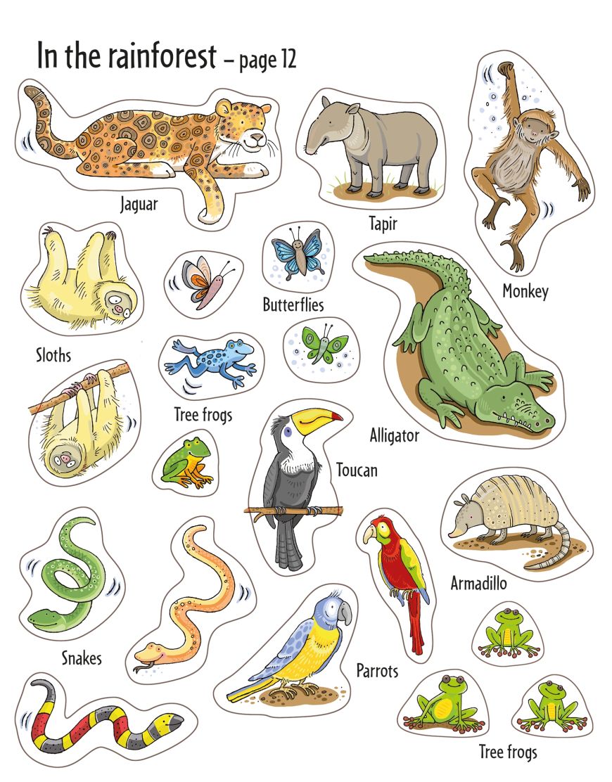 Usborne Books-First Sticker Book Animals-536817-Legacy Toys
