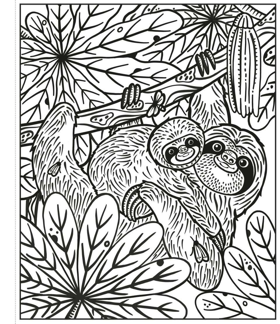 Usborne Books-Rainforest Magic Painting Book-556716-Legacy Toys