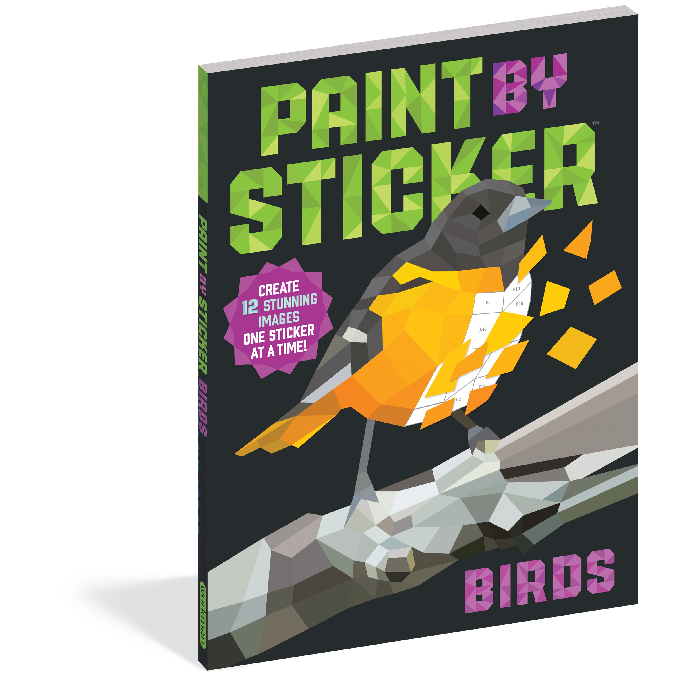 Workman Publishing-Paint By Sticker: Birds-100012-Legacy Toys