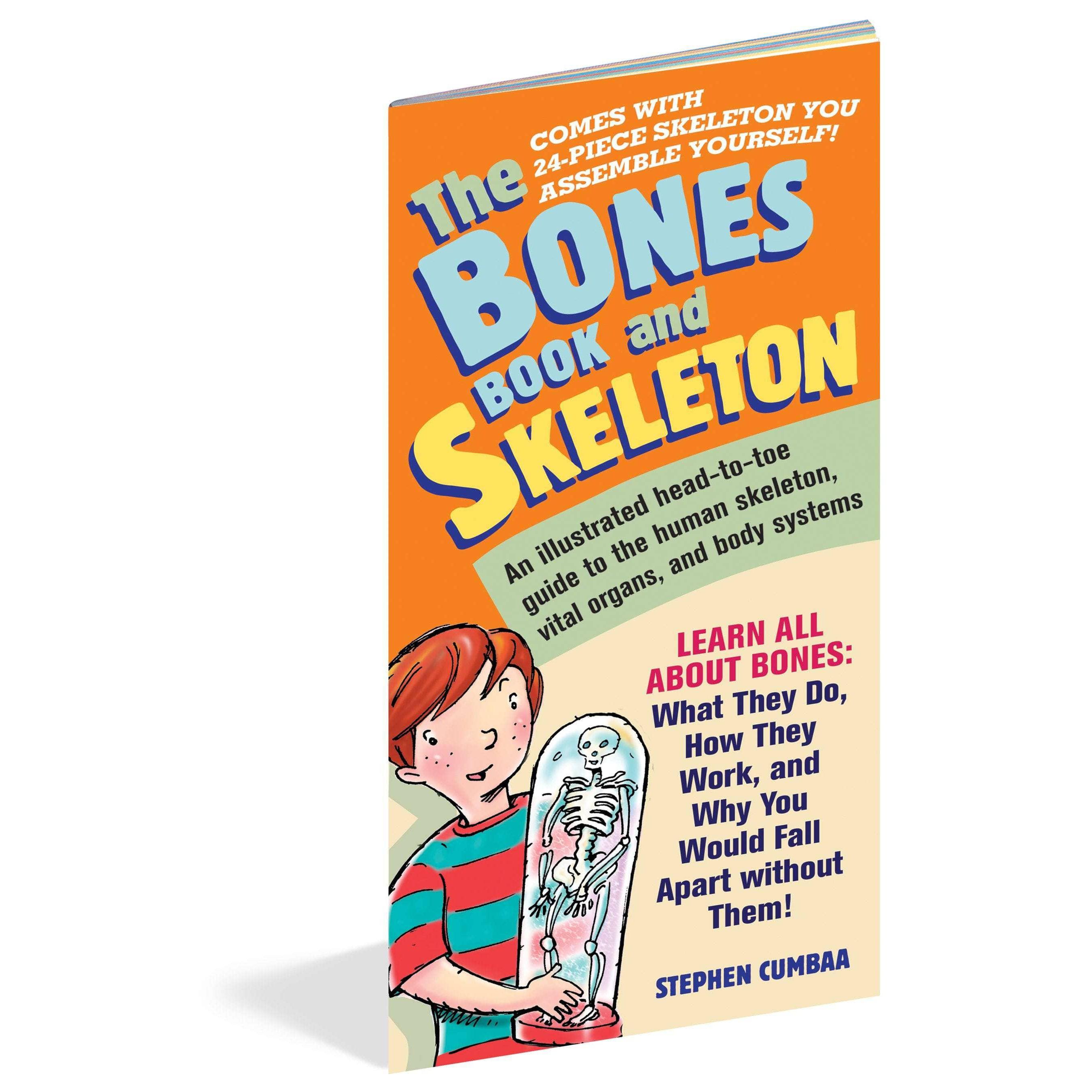 Workman Publishing-The Bones Book And Skeleton-14218-Legacy Toys