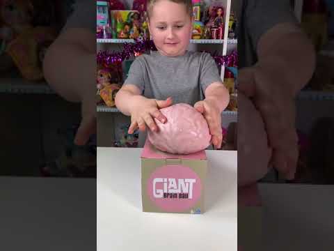 Legacy Toys